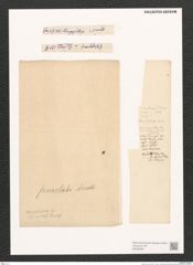 Navicula sp. (de-Toni-Nr.: Genus 1) Zeichnungen Sammlung Grunow (NHMW-BOT-W0368061)